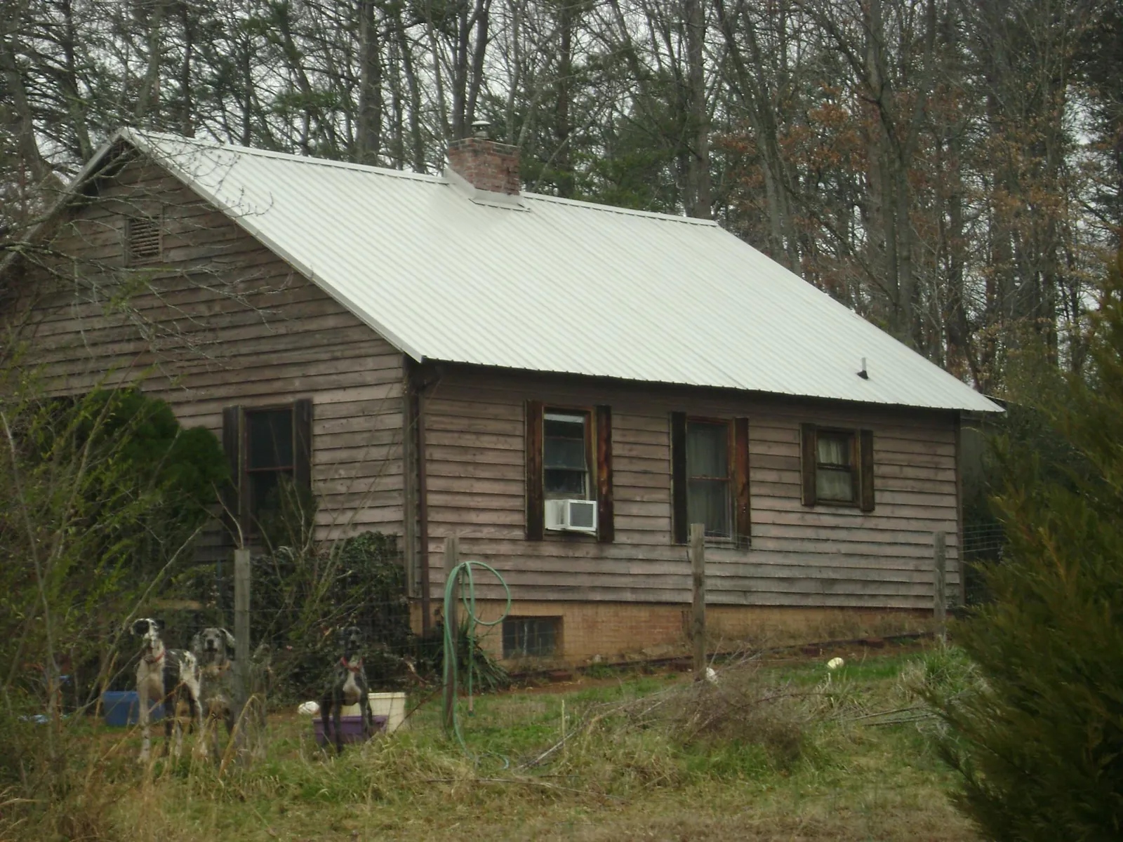 White metal roof on an old wood sided farmhouse, from a Asphalt Shingle Roof Repair job in Geneseo